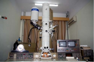 復(fù)旦大學(xué)物理系應(yīng)用表面物理國家重點實驗室